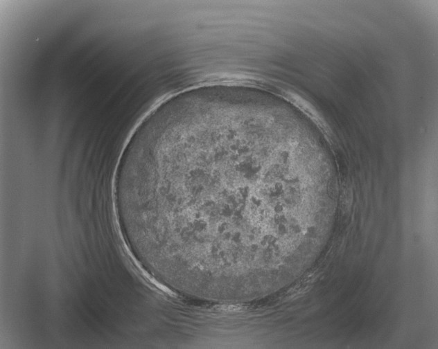 X0000082721283200702161832