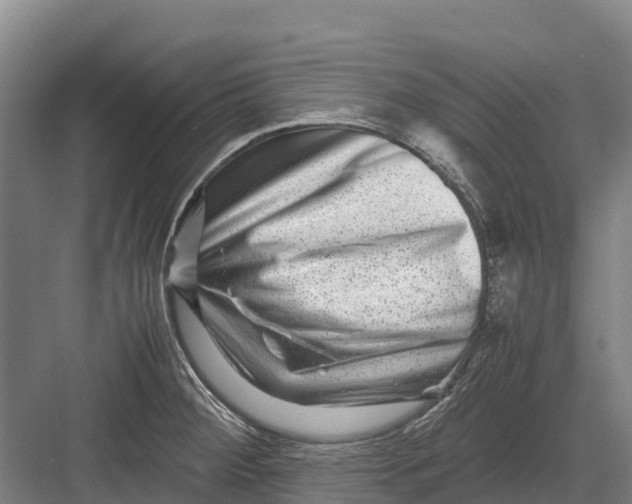 X0000082721284200702161832