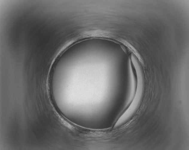 X0000082721285200702161832