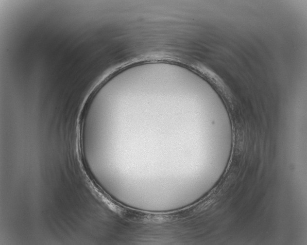 X0000082721286200702161832