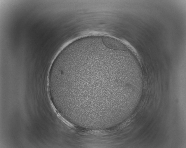 X0000082721287200702161832