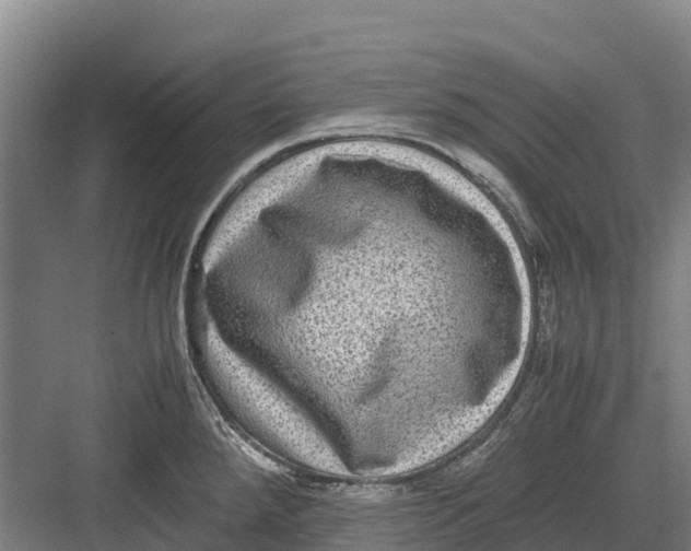 X0000082721288200702161832