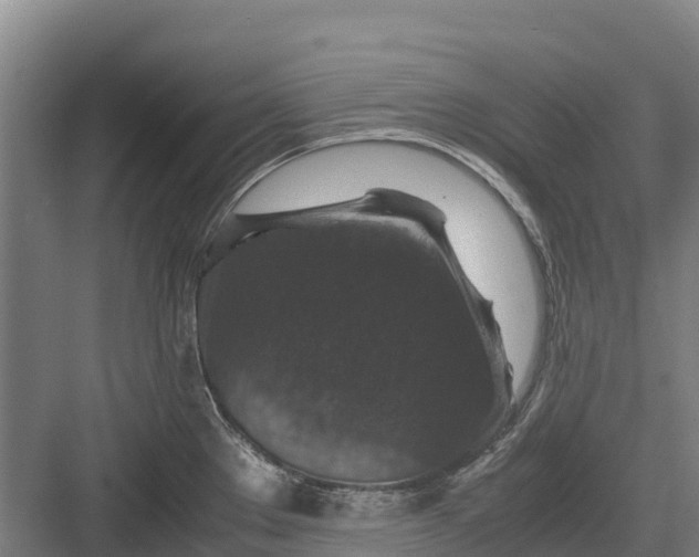 X0000082721289200702161832