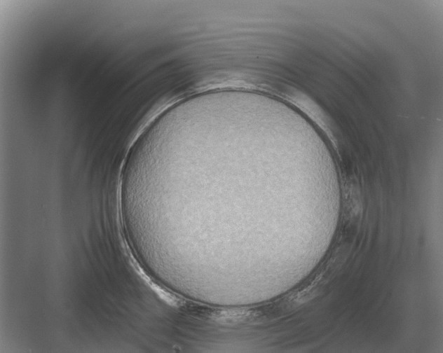 X0000082721290200702161832