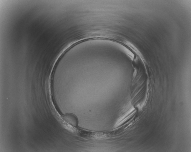 X0000082721291200702161832