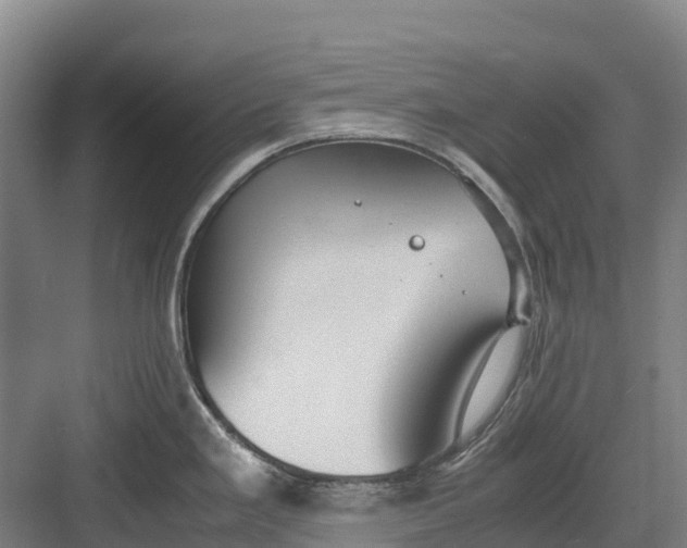 X0000082721293200702161832