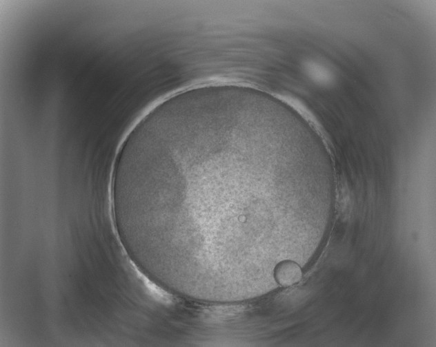 X0000082721294200702161832