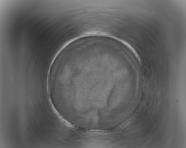 X0000082721295200702161831