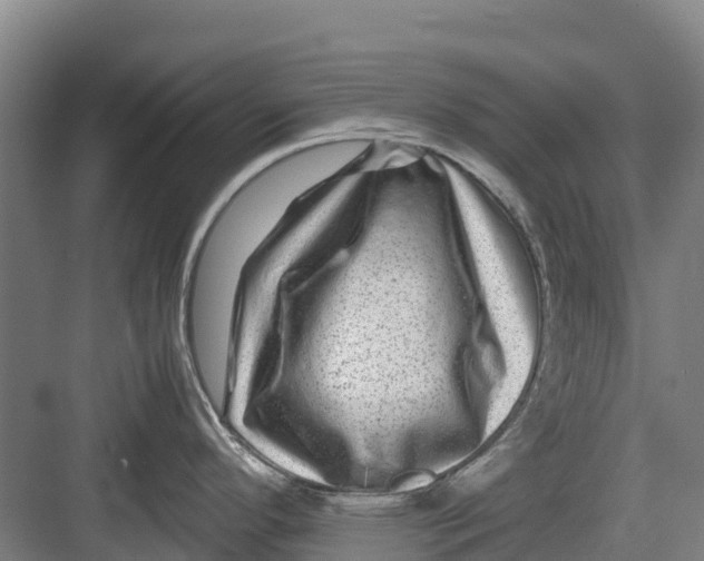 X0000082721296200702161831