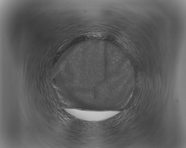 X0000082721297200702161831