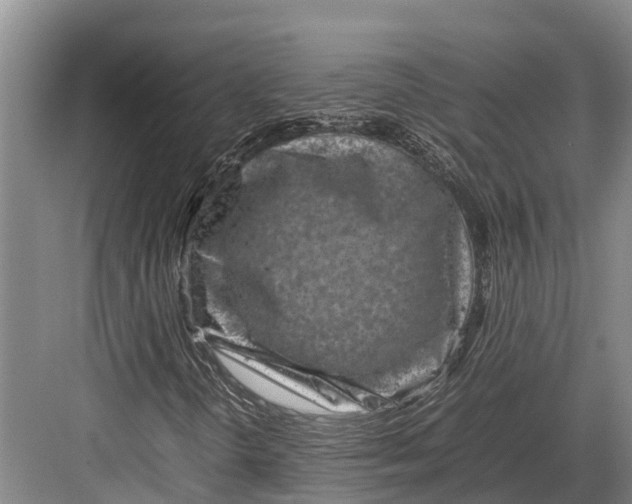 X0000082721298200702161831