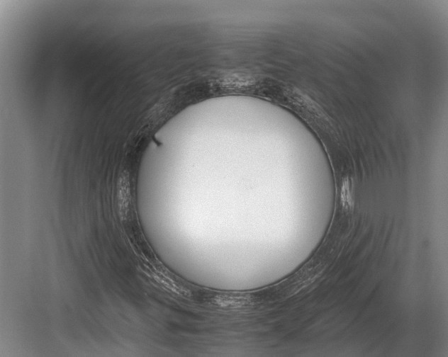 X0000082721299200702161831