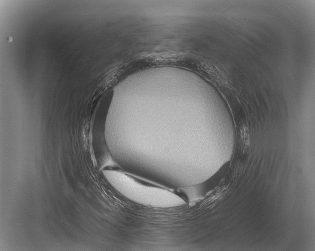 X0000082721300200702161831