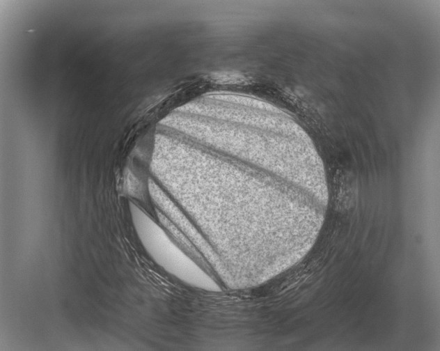 X0000082721301200702161831