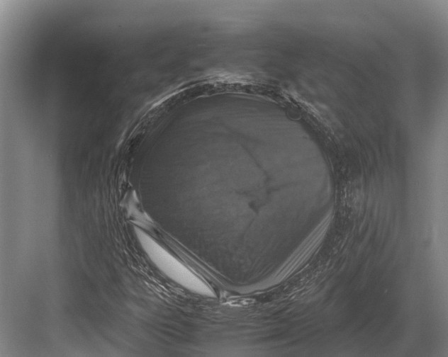 X0000082721303200702161831