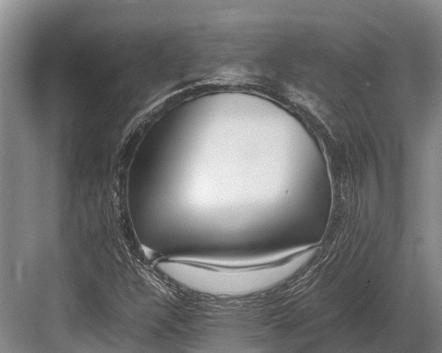 X0000082721304200702161831