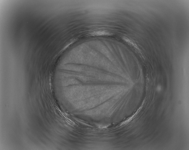 X0000082721305200702161831