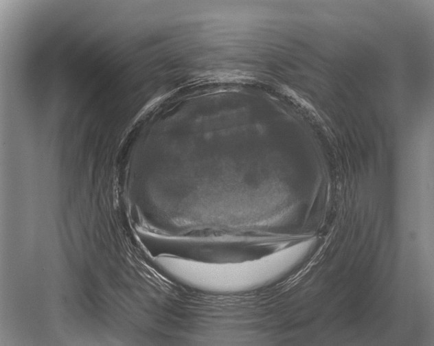 X0000082721306200702161831