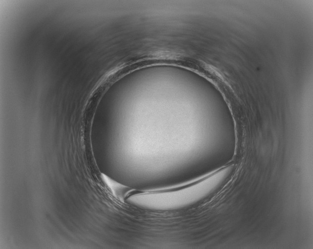 X0000082721307200702161831