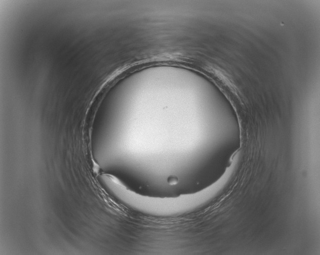 X0000082721308200702161831