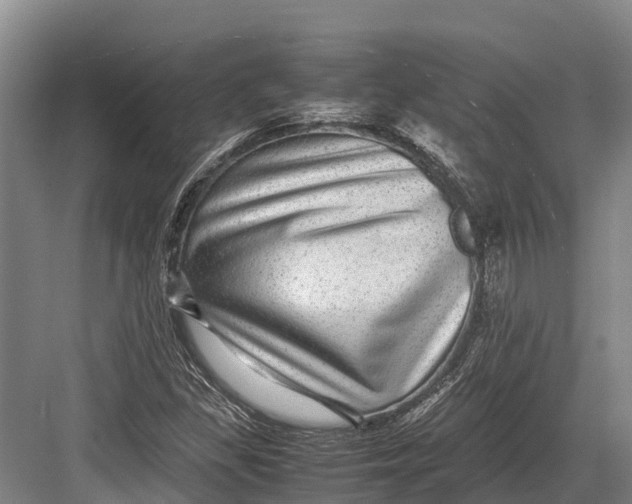 X0000082721309200702161831