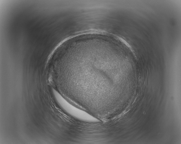 X0000082721310200702161831