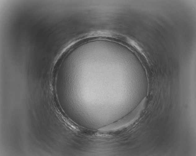 X0000082721312200702161831