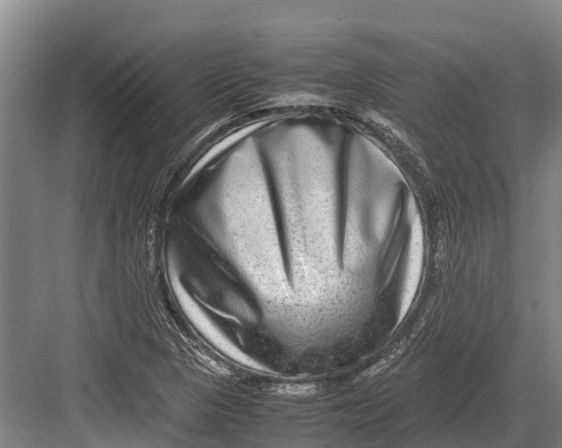 X0000082721313200702161831