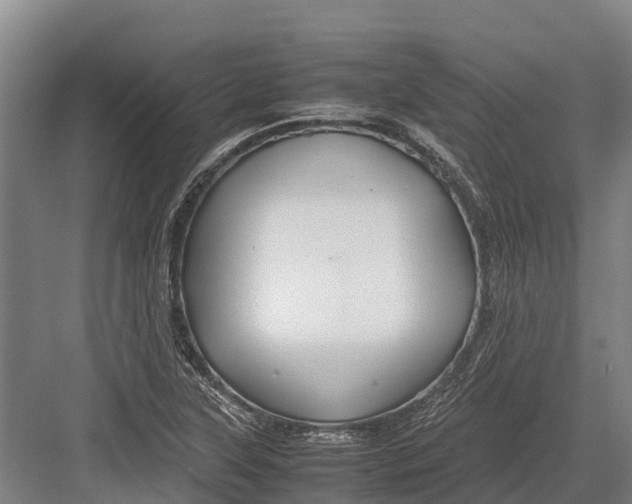 X0000082721315200702161831