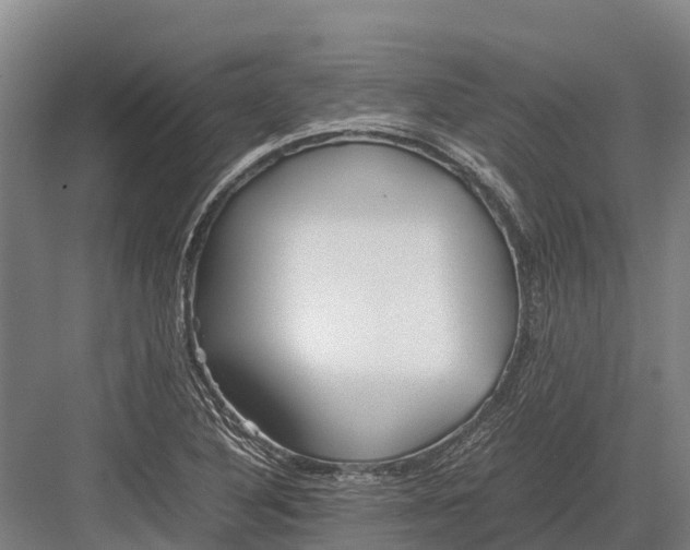 X0000082721316200702161831