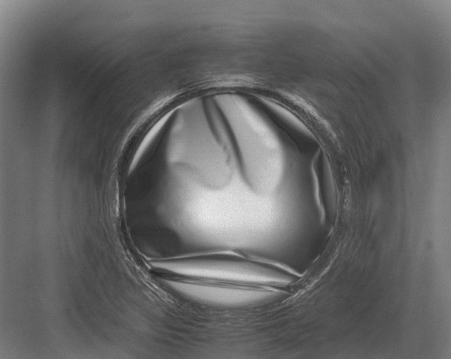 X0000082721317200702161831