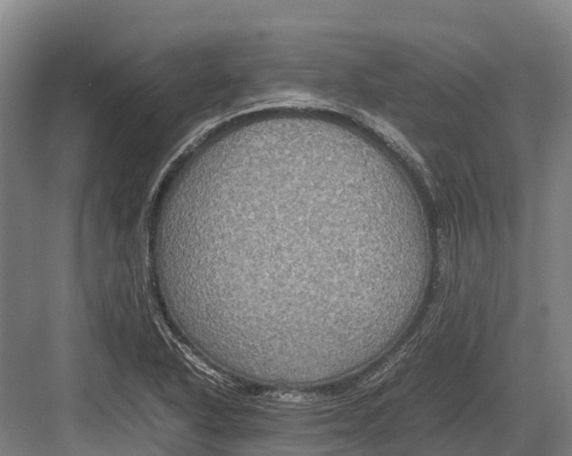 X0000082721318200702161831