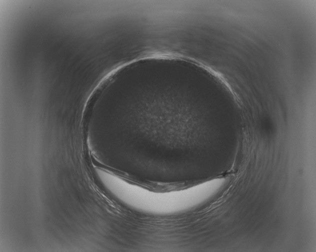 X0000082721319200702161831