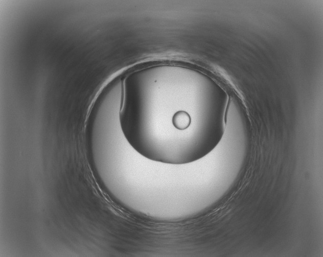 X0000082721320200702161831