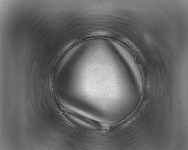 X0000082721321200702161831