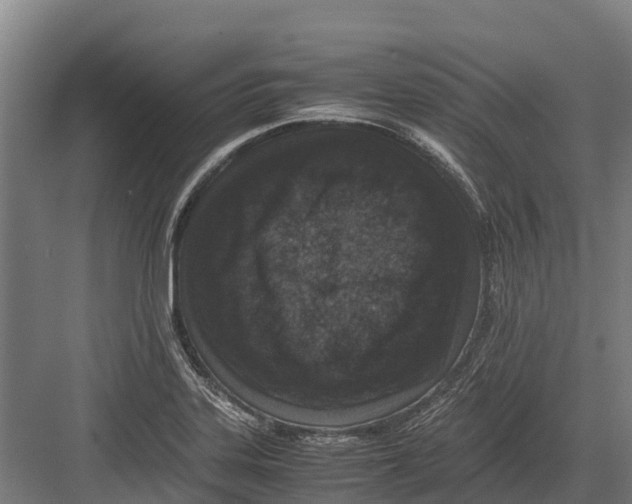 X0000082721323200702161831