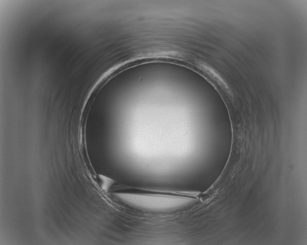 X0000082721324200702161831