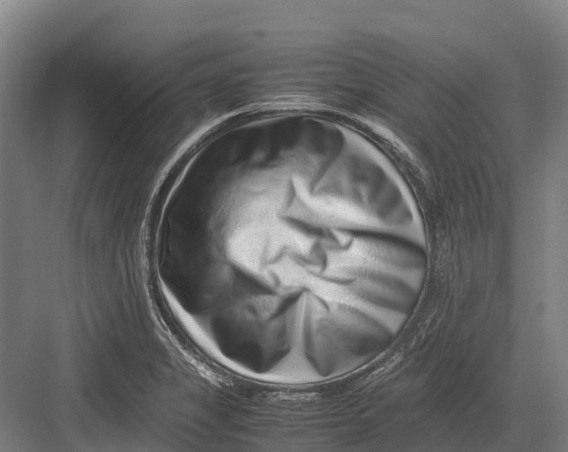 X0000082721325200702161831