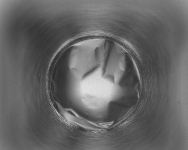 X0000082721326200702161831