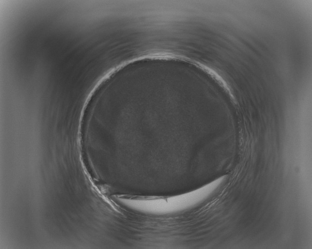 X0000082721327200702161831