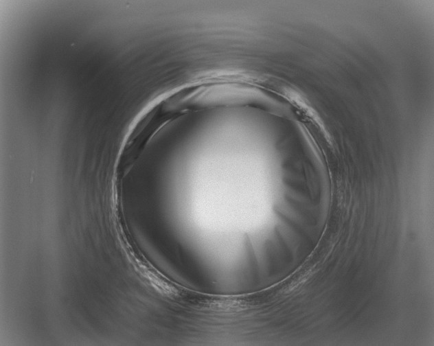 X0000082721328200702161831