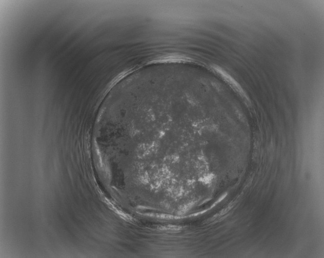 X0000082721329200702161831