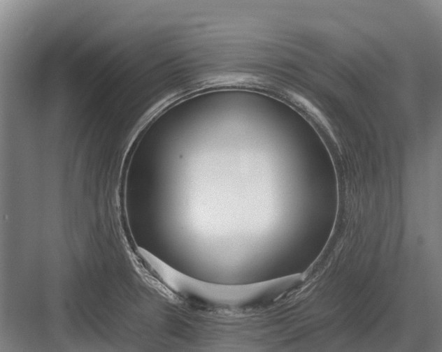 X0000082721330200702161831