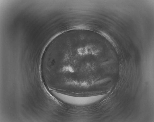 X0000082721331200702161831