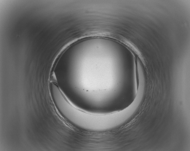 X0000082721332200702161831