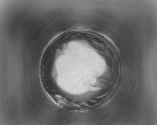 X0000082721333200702161831