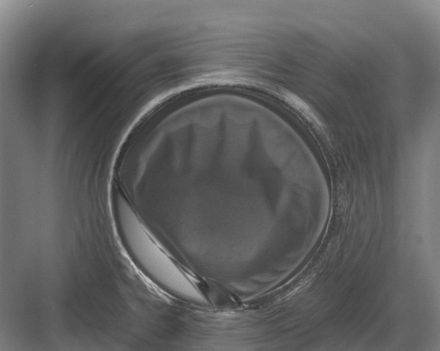 X0000082721334200702161831