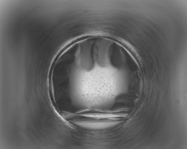 X0000082721335200702161831