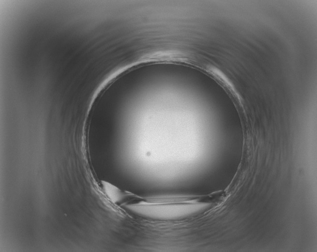 X0000082721336200702161831