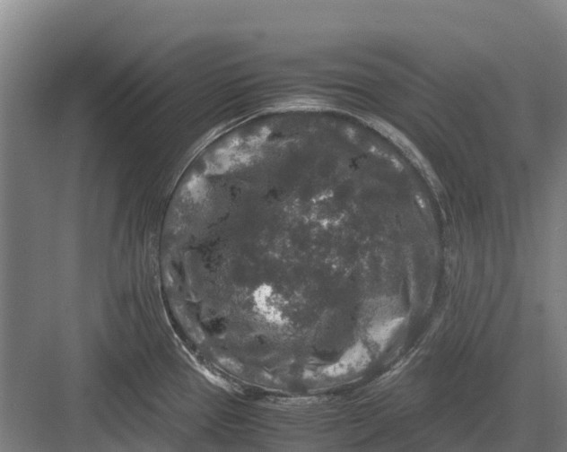 X0000082721337200702161831